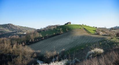 Agricultural land of 49,000 m² in Picciano (65010)