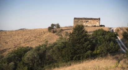 Agricultural land of 49,000 m² in Picciano (65010)