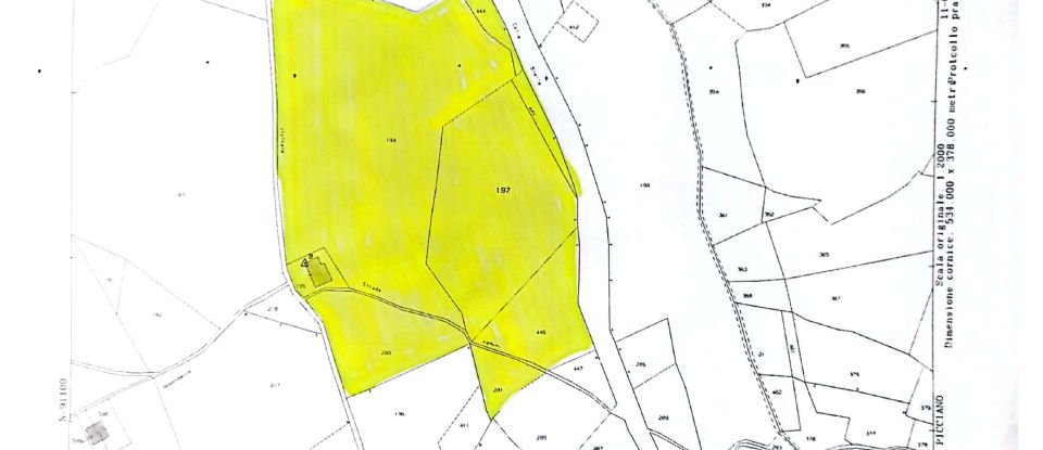 Agricultural land of 49,000 m² in Picciano (65010)