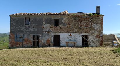 Terreno agricolo di 49.000 m² in Picciano (65010)