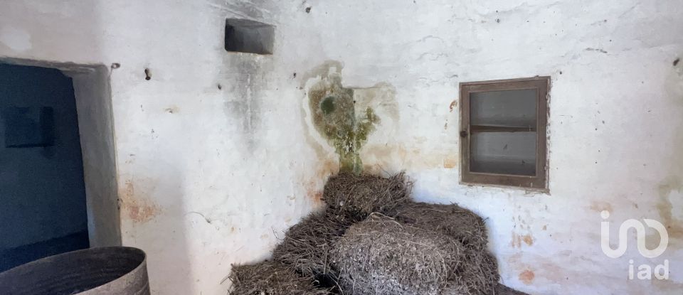 Trullo 3 locali di 60 m² in Ostuni (72017)