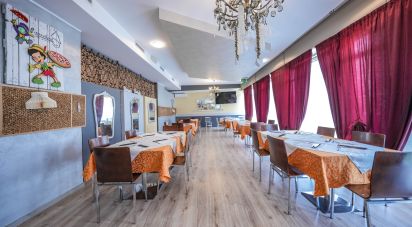 Pizzeria of 584 m² in Rovigo (45100)