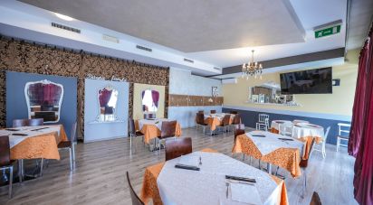 Pizzeria of 584 m² in Rovigo (45100)