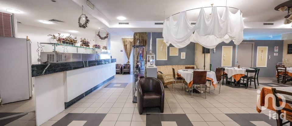 Pizzeria of 584 m² in Rovigo (45100)