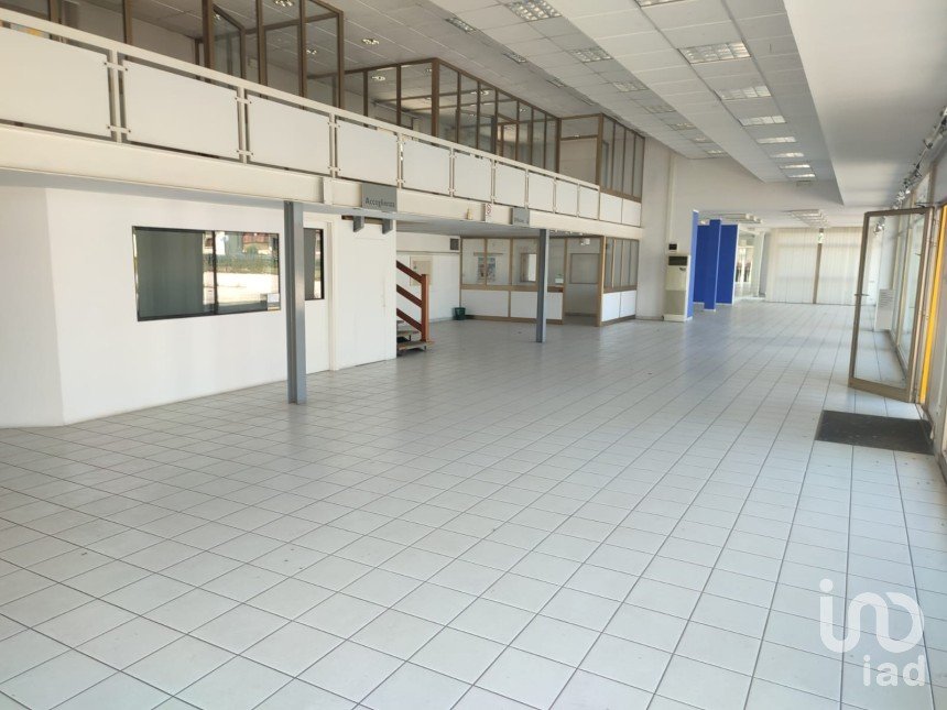 Varie superfici di 2.180 m² in Rovigo (45100)