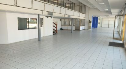 Varie superfici di 2.180 m² in Rovigo (45100)