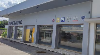 Varie superfici di 2.180 m² in Rovigo (45100)