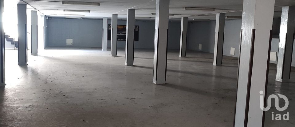 Varie superfici di 2.180 m² in Rovigo (45100)