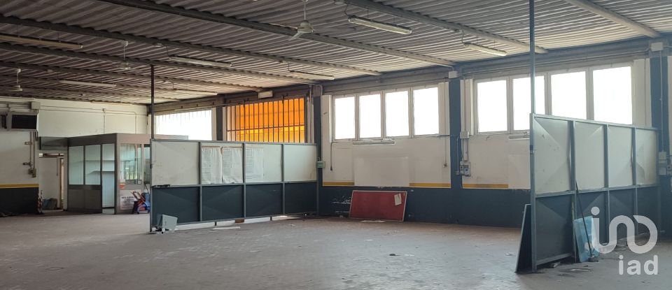 Varie superfici di 2.180 m² in Rovigo (45100)