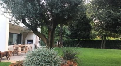 Villa 14 locali di 450 m² in Stra (30039)