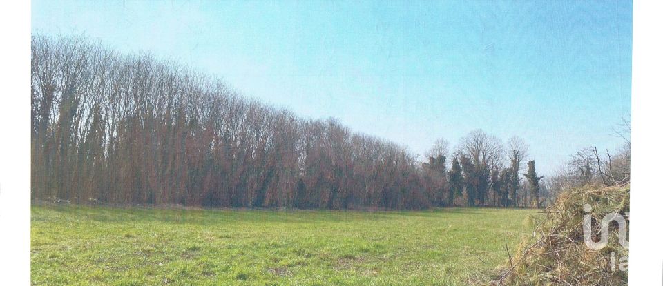 Agricultural land of 10,000 m² in Calcinato (25011)