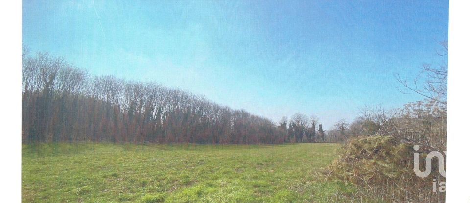 Agricultural land of 10,000 m² in Calcinato (25011)