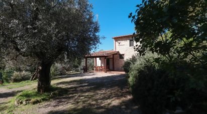 Rustico 3 locali di 100 m² in Poggio Nativo (02030)