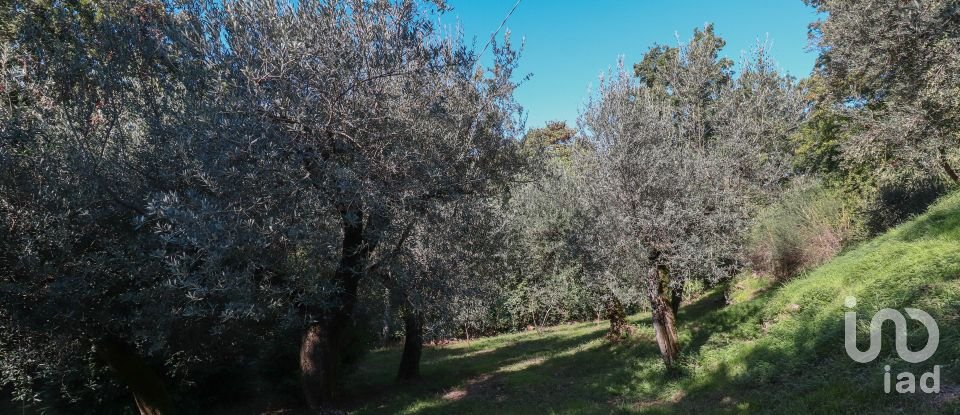 Rustico 3 locali di 100 m² in Poggio Nativo (02030)