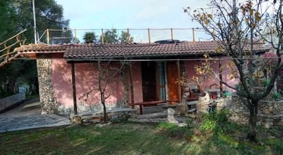 Casa 3 locali di 77 m² in Telti (07020)