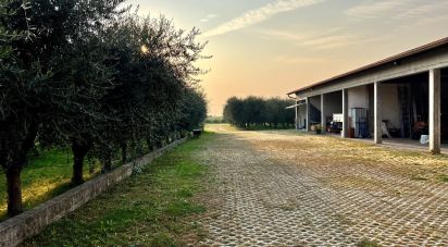 Terreno di 24.514 m² in Cavaion Veronese (37010)