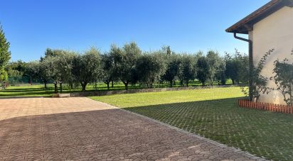 Land of 24,514 m² in Cavaion Veronese (37010)