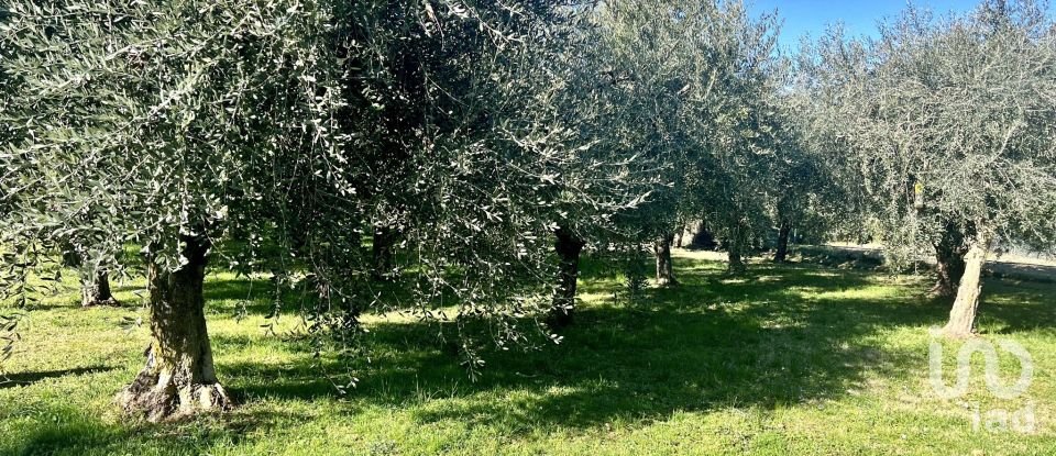 Land of 24,514 m² in Cavaion Veronese (37010)