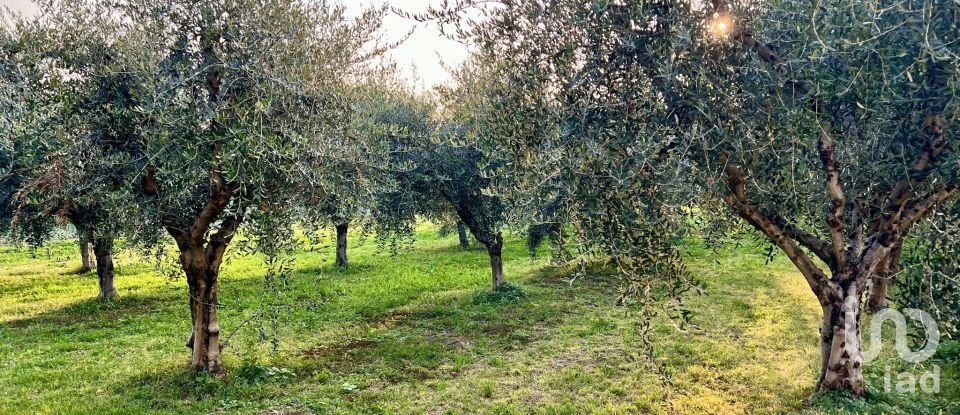 Land of 24,514 m² in Cavaion Veronese (37010)