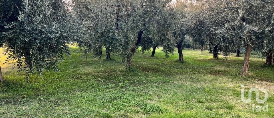 Terreno di 24.514 m² in Cavaion Veronese (37010)