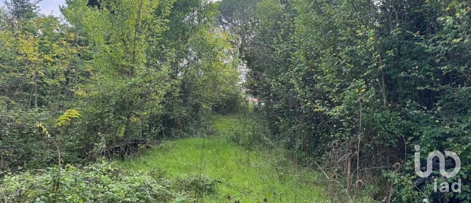 Rustico 5 locali di 240 m² in Agugliano (60020)