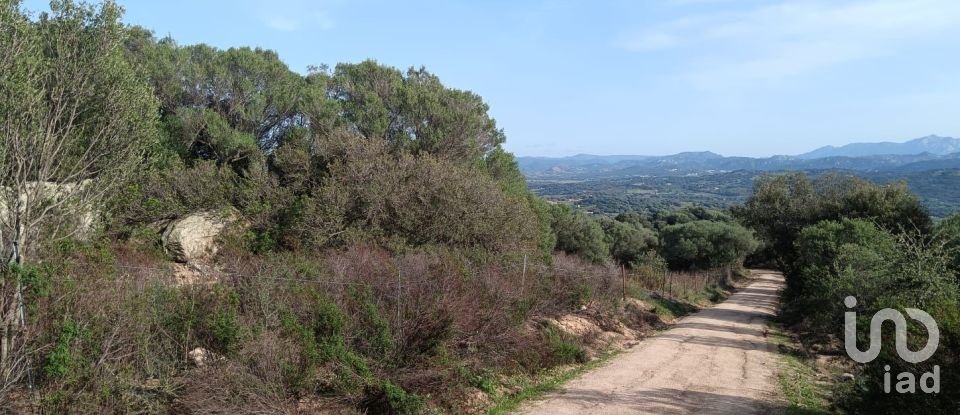 Terreno di 147.272 m² in Telti (07020)