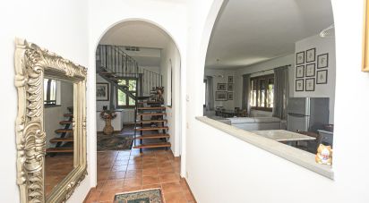 Casa indipendente 7 locali di 270 m² in Molare (15074)