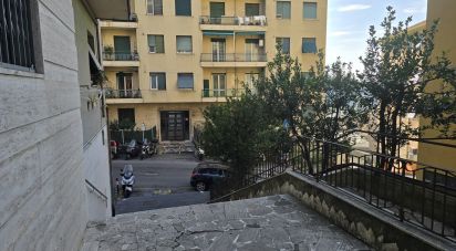 Apartment 0 rooms of 61 m² in Genova (16159)