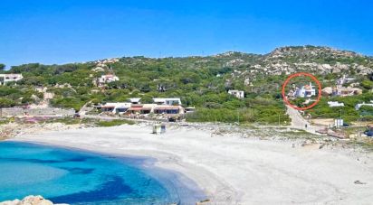 Villa 5 locali di 150 m² in Santa Teresa Gallura (07028)