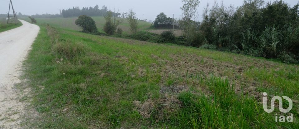 Terreno di 116.561 m² in Staffolo (60039)