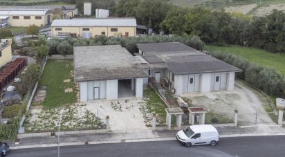 Capannone di 315 m² in Cingoli (62011)