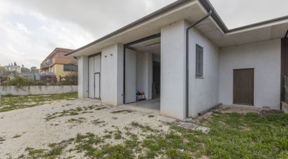 Capannone di 315 m² in Cingoli (62011)