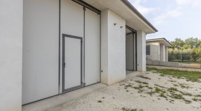 Capannone di 315 m² in Cingoli (62011)