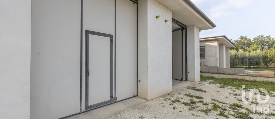 Capannone di 315 m² in Cingoli (62011)