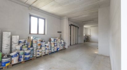 Capannone di 315 m² in Cingoli (62011)