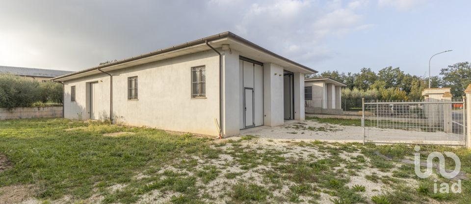 Capannone di 315 m² in Cingoli (62011)