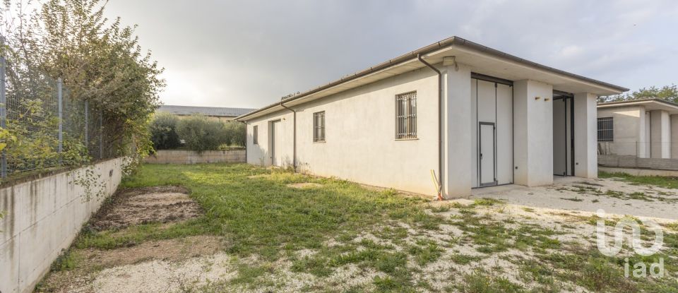 Capannone di 315 m² in Cingoli (62011)