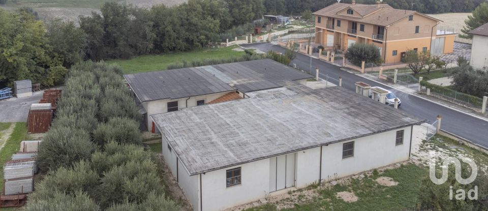 Capannone di 315 m² in Cingoli (62011)