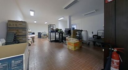 Varie superfici di 560 m² in Genova (16153)