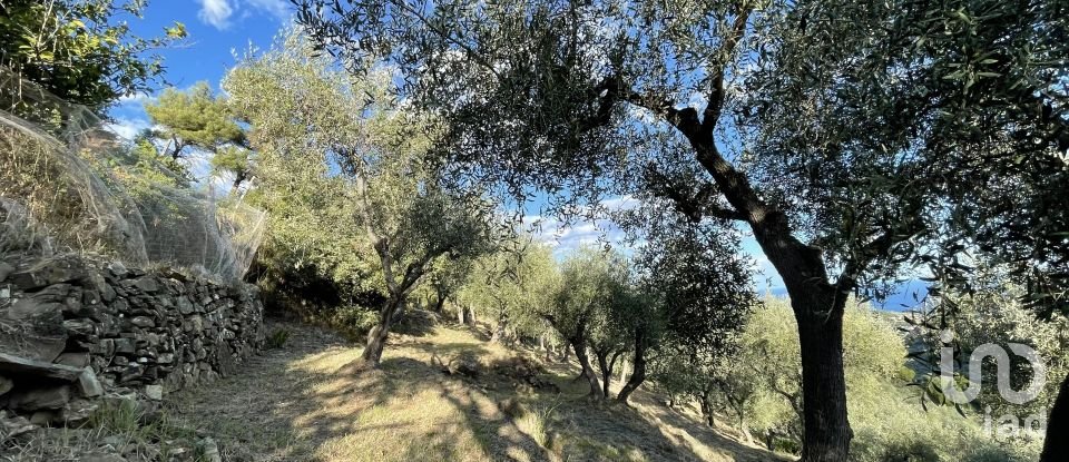 Terreno agricolo di 6.918 m² in Cipressa (18017)