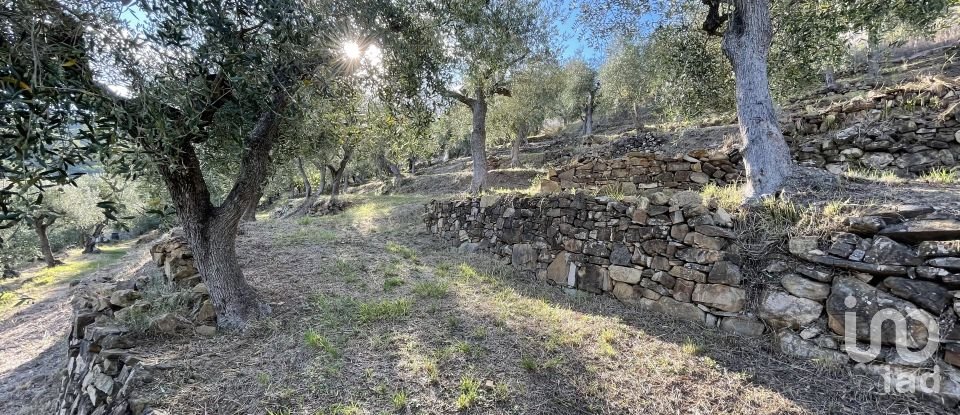 Terreno agricolo di 6.918 m² in Cipressa (18017)