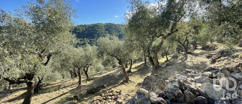 Terreno agricolo di 6.918 m² in Cipressa (18017)