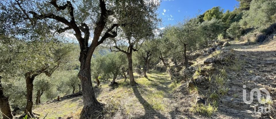 Terreno agricolo di 6.918 m² in Cipressa (18017)