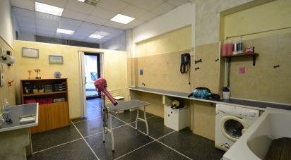 Attività locali di 35 m² in Genova (16149)