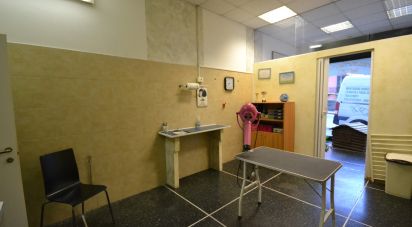 Attività locali di 35 m² in Genova (16149)