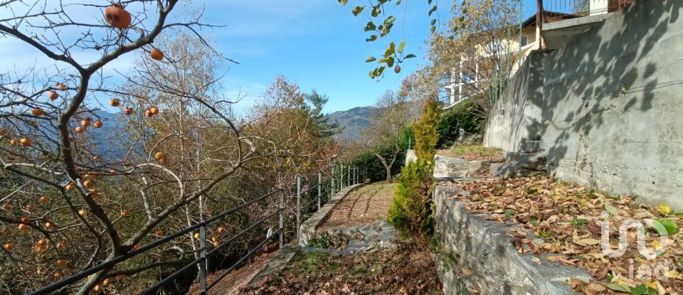 Villa Bifamiliare 6 locali di 180 m² in Bee (28813)