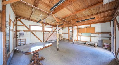 Casa indipendente / Villa 5 locali di 150 m² in Migliarino (44027)