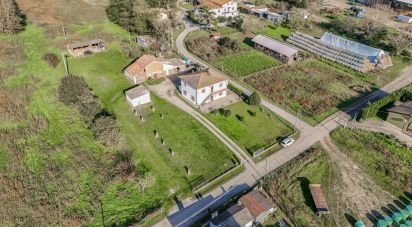 Casa indipendente / Villa 5 locali di 180 m² in Codigoro (44021)