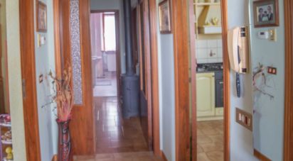 Villa Bifamiliare 12 locali di 156 m² in Arcevia (60011)