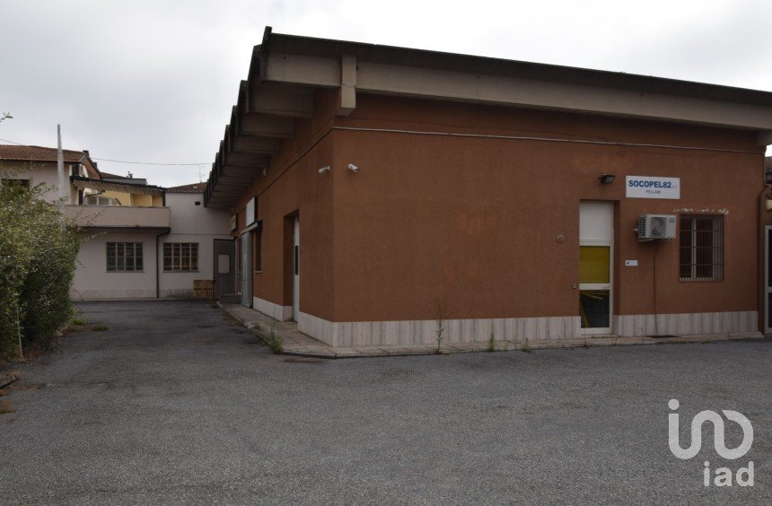 Capannone di 1.000 m² in Castelfranco di Sotto (56022)